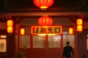 《木槿花开》院墙边木槿花与晾衣竹竿